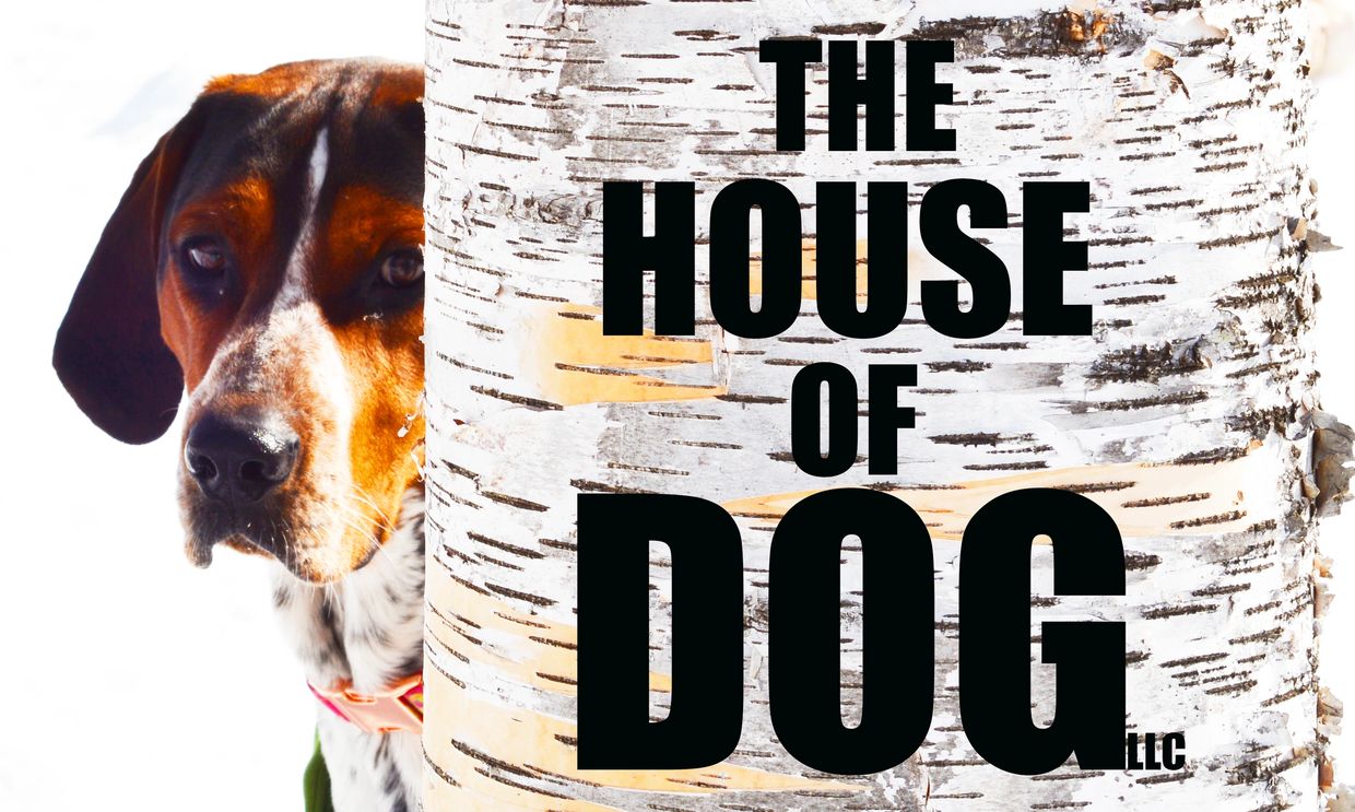 house of dog logo