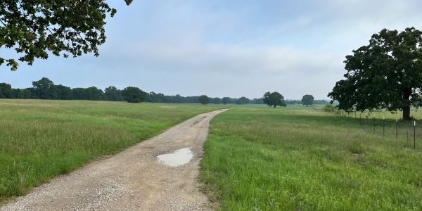 A gravel road winding through a green field under a blue sky.