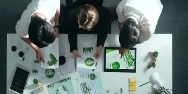 Personas trabajando juntos en un proyecto ecológico.
