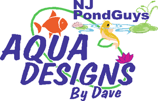 Aqua Designs By Dave