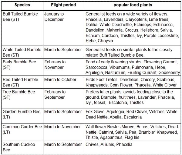 Plants for bumblebees
