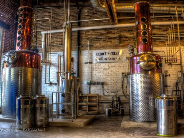 Photo credit: David Buchanan.