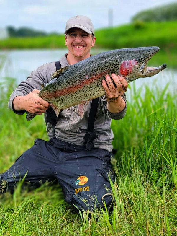 Catching Rainbow Trout
