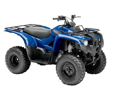 Blue all-terrain vehicle (ATV) with rugged tires and front and rear cargo racks.