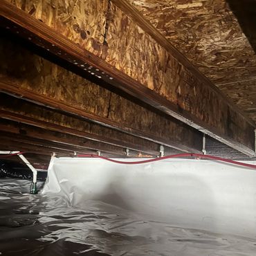 Professional crawl space encapsulation featuring a clean vapor barrier and mold-treated floor joists