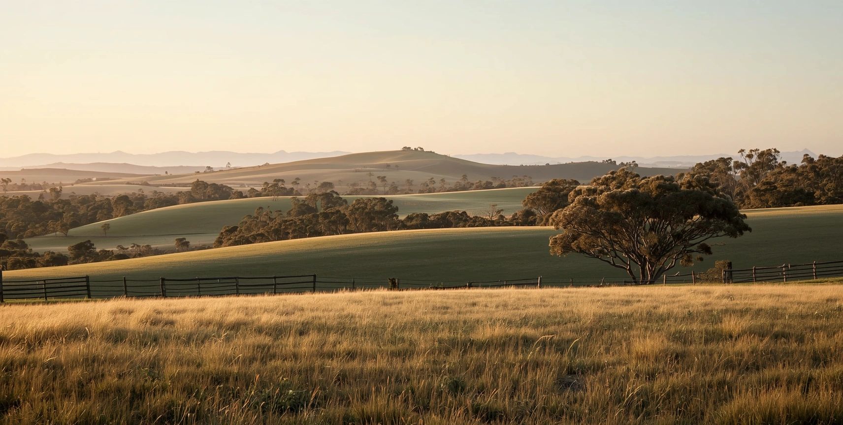 Rolling hills and fields at sunset with scattered trees.
