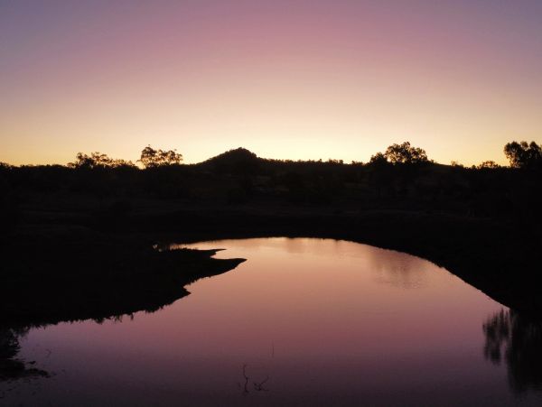 Serene sunset over a calm river with silhouetted trees.