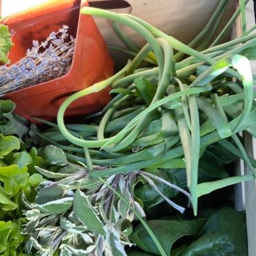 box of homegrown veggies
