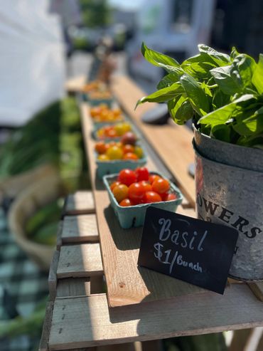 beautiful tomato and basil garden stand
