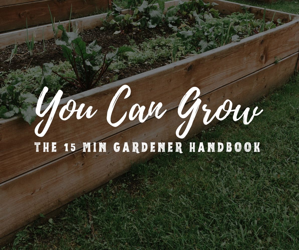 You can grow 15 Minute gardener book