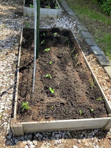 stone mulch raised bed in small area