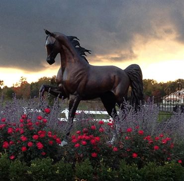 Harley, life size, 84" high bronze equine statue on a beautiful evening in Michigan, USA.