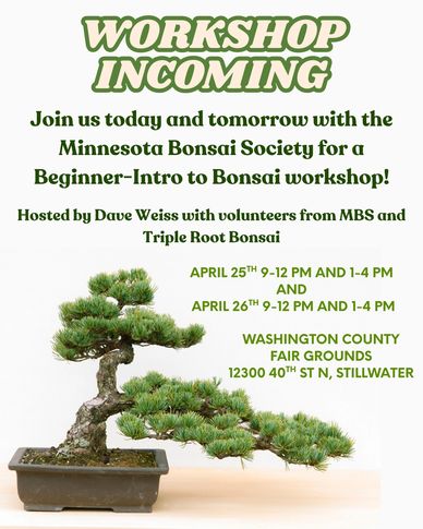 Flyer announcing a beginner bonsai workshop in Stillwater, Minnesota.