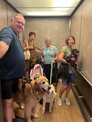 Alliance of Therapy Dogs background checks visiting veterans in hospital