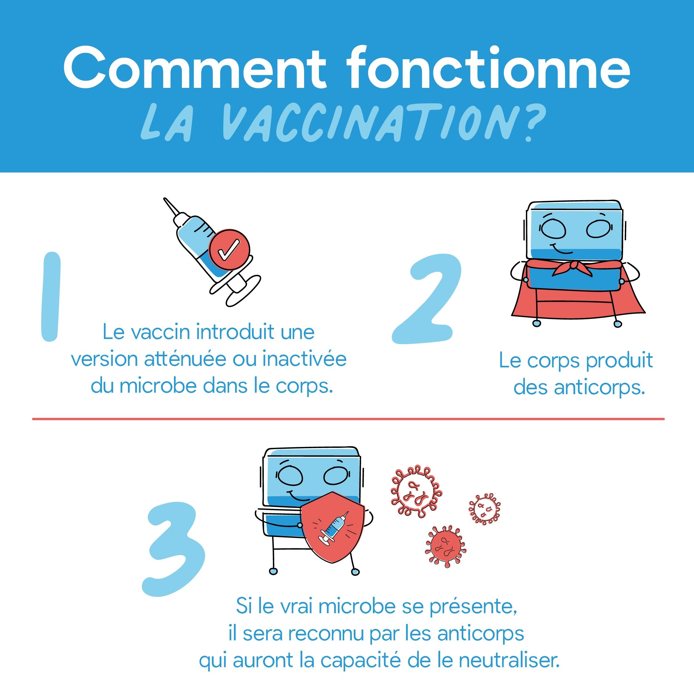 Infographie Comment fonctionne la vaccination? Bébé prématuré, vaccin, microbe, anticorps, virus