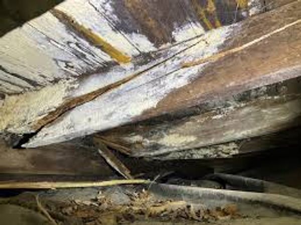 Wood Destroying Fungi Damage and Mold Growth on a Floor Framing Structure of a house.