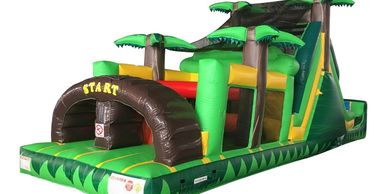 Backyard Tropical Obstacle Inflatable in Cedar Rapids, Iowa. 