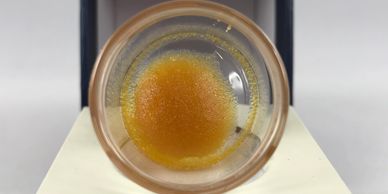 Cannabis Extract; Cannabis Concentrate; Cannabis Sugar Extract; Sour Banana Sherbet; Rolen Stone Extracts
