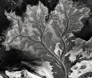 Mud Flats near Wyndham, Western Australia