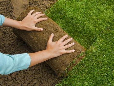 rulo çim yapan firmalar