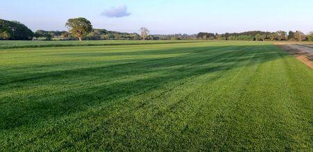 image1305