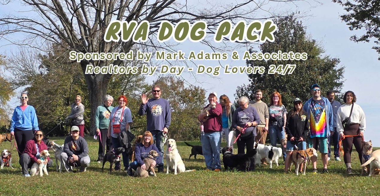 Group of people with their dogs at a park event.