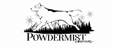 Powdermist Siberians