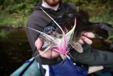 Smallmouth Bass Fly Fishing, Wisconsin