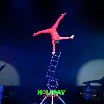 An acrobats performing a hand stand on top of a ladder in the show Holiday Dreams Cirque
