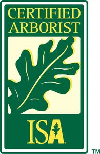 ISA Certified Arborists on staff Tim Shultz IN-3583A