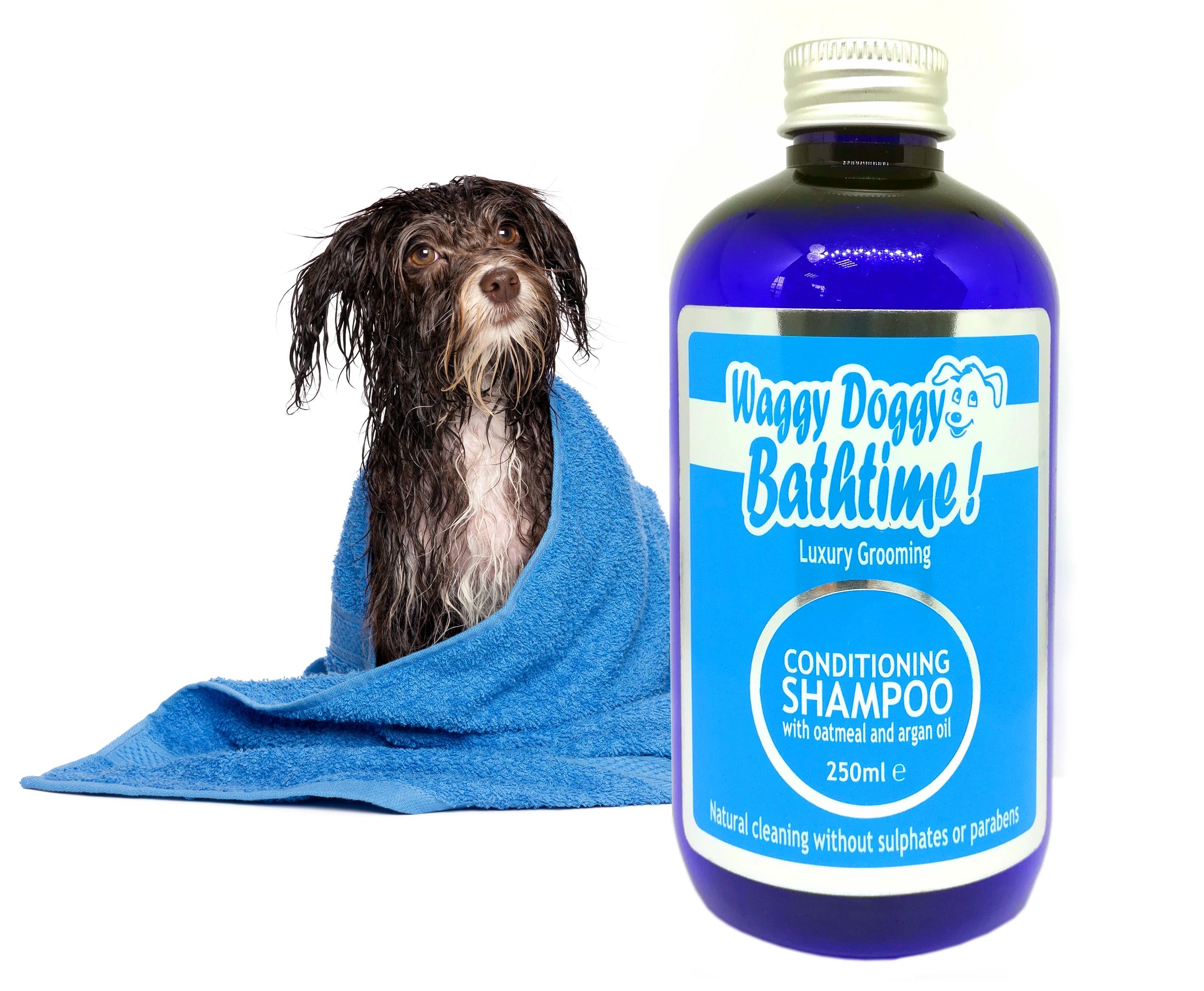 Home [waggydoggy.uk]