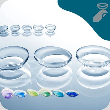 dailies contact lenses
