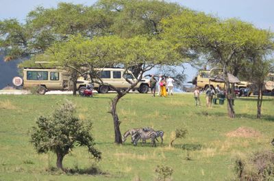 Tarangire National Park Resting Place