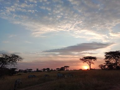 Sunset at Savannah Land