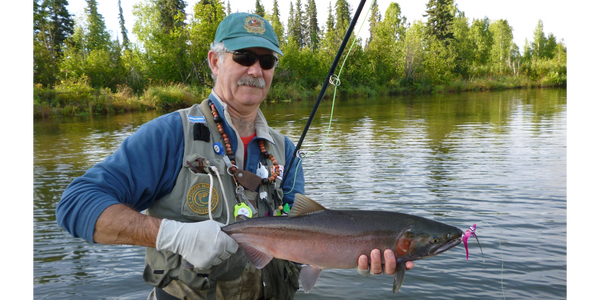Hembra de silver o coho en Montana creek