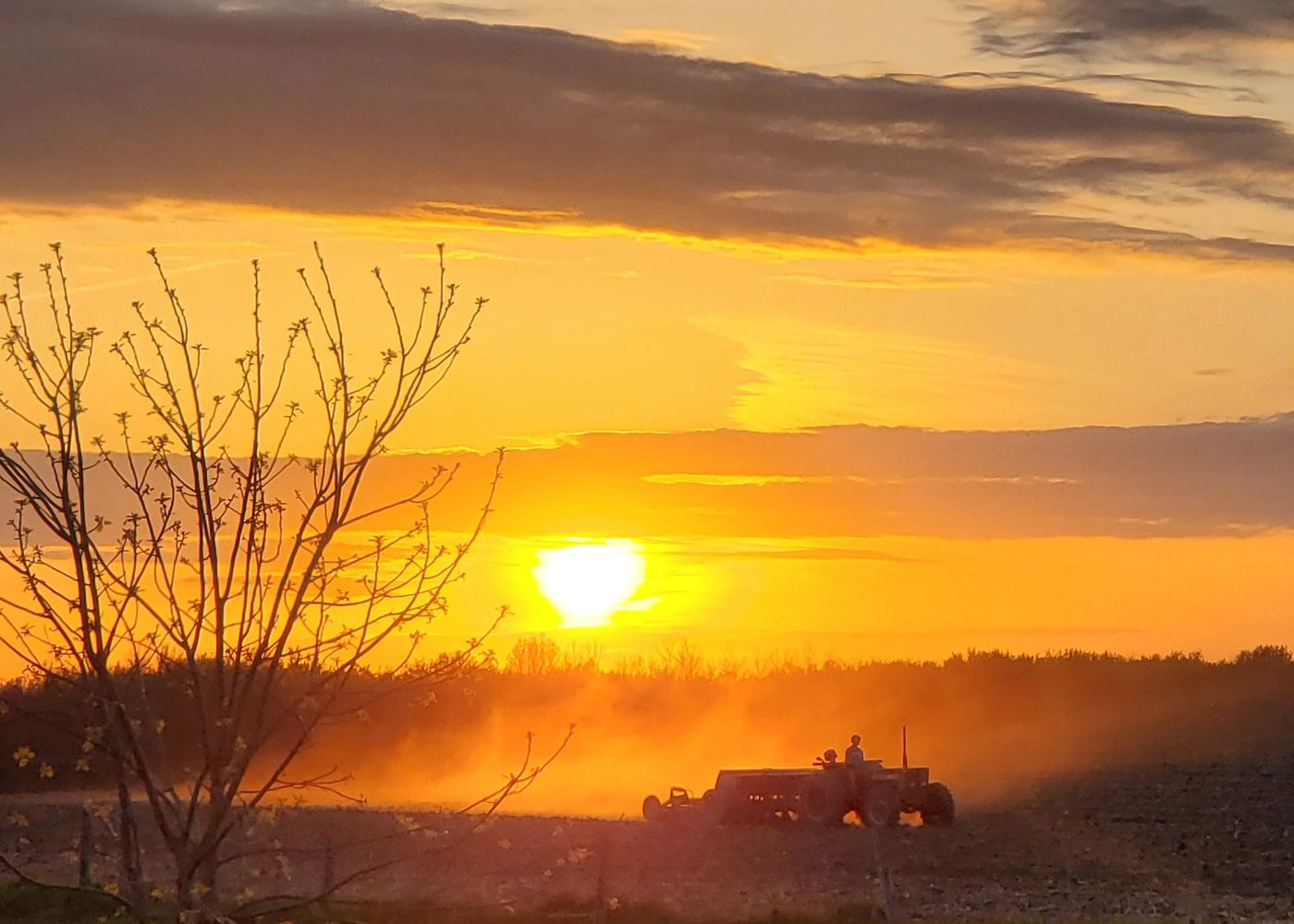 A tractor works on a dusty field during a golden sunset.