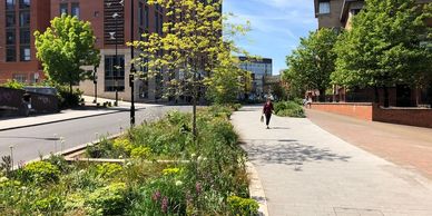 A sunny urban street with greenery and a person walking on the sidewalk.