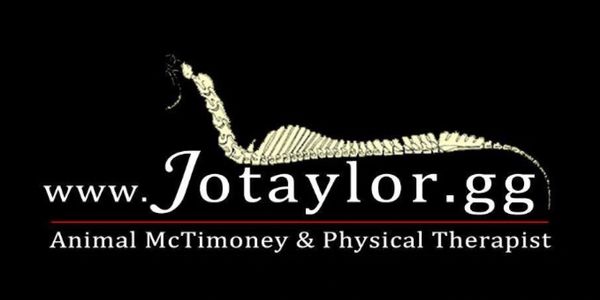 Jo Taylor Chiropractor Jersey Equestrian