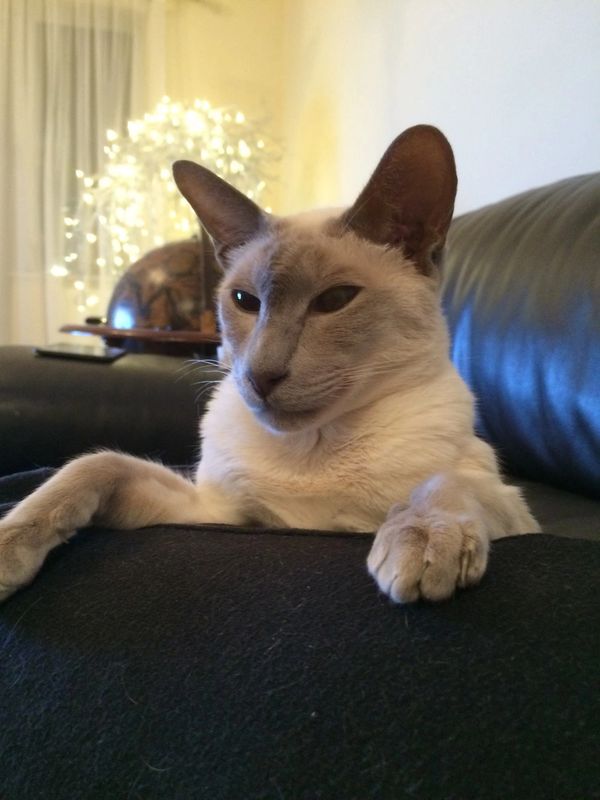 Eccles taking in the activities of the room