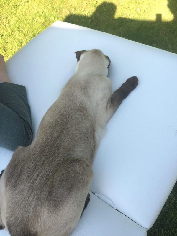 Lovley Lilliian having a massage alfresco