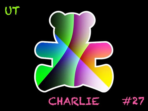 Unsigned Teddy #27 (CHARLIE)