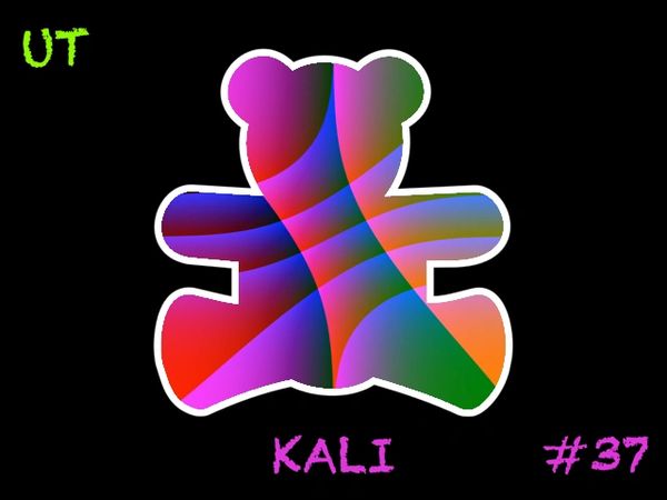 Unsigned Teddy #37 (KALI)