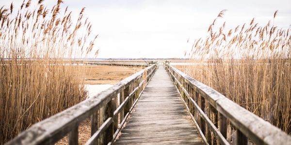 South Carolina Coastal Dock