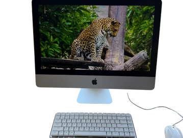 A leopard displayed on an Apple iMac screen with keyboard and mouse.