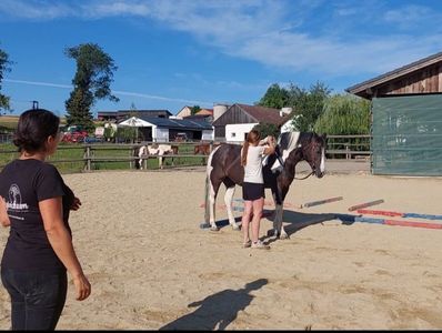 Bewegungskompetenztraining
