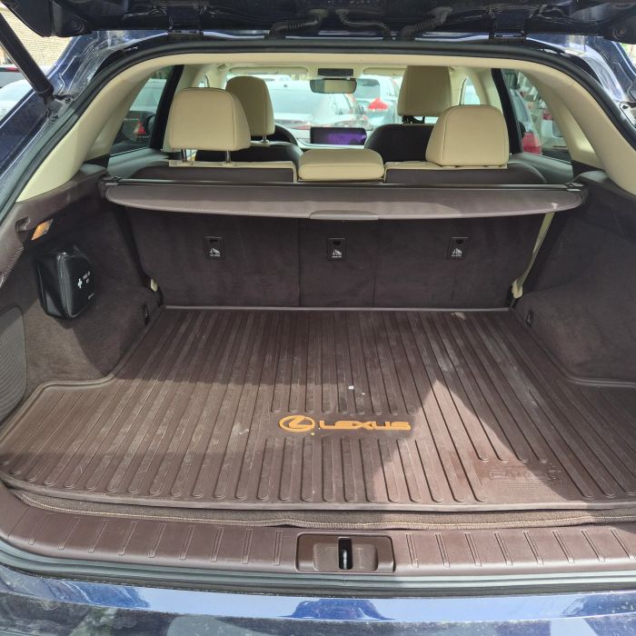 2010 Lexus RX 350 - Photo 81