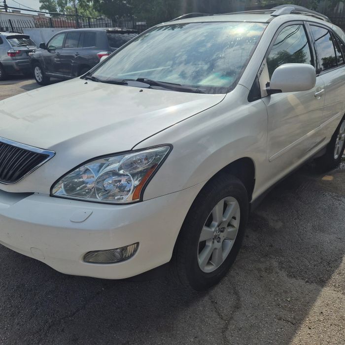 2010 Lexus RX 350 - Photo 19