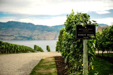 oubie graphics © 2024