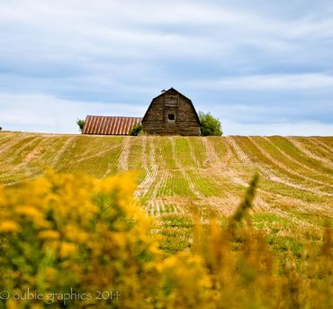 oubie graphics © 2024