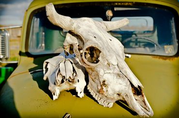 oubie graphics © 2024